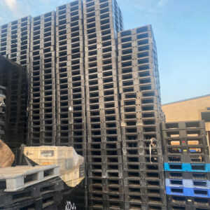 Lote de 180 Euro Palets de Plástico 800 x 1200 para Rack Usado