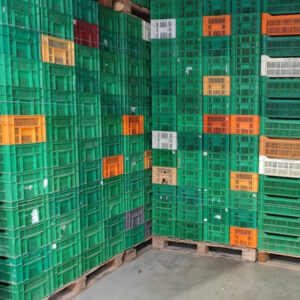 Lote 3000 Cajas Agrícolas Rejilladas Usadas en Murcia 30 x 50 x 21 cm