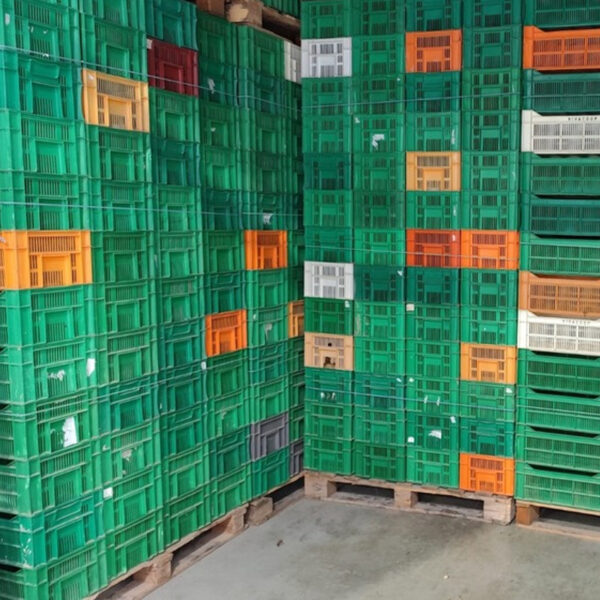 Lote 3000 Cajas Agrícolas Rejilladas Usadas en Murcia 30 x 50 x 21 cm