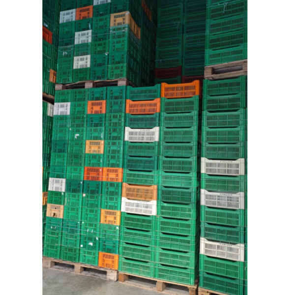 Lote 3000 Cajas Agrícolas Rejilladas Usadas en Murcia 30 x 50 x 21 cm - Imagen 2